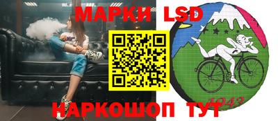 Альфа ПВП Кандалакша