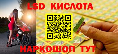 сатива Камышлов