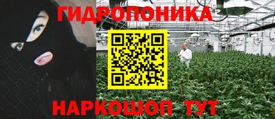 Альфа ПВП Кандалакша
