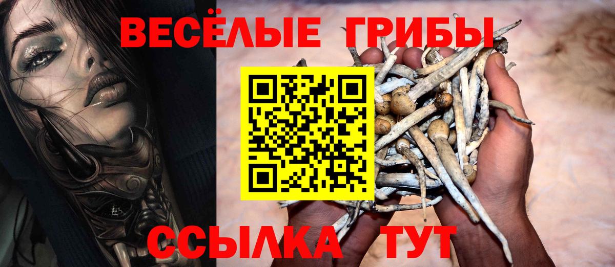 Галлюциногенные грибы Cubensis Красноярск